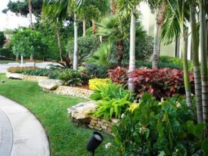 florida landscaping