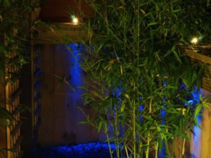 bamboo lit by LED Lights