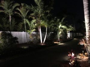 Landscape LED Low Voltage Lighting